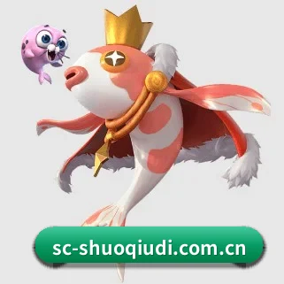 平台优化